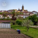 🌱 Un aitona preparando la tierra para los cultivos de verano.  ☎ Reservas: (+34) 660 061 666  📷 @u4r3zo  #RafaelHondarribia #pintxos #raciones #tapas #aitona #tierra #cultivo #hondarribia #irún #hendaye #donostia